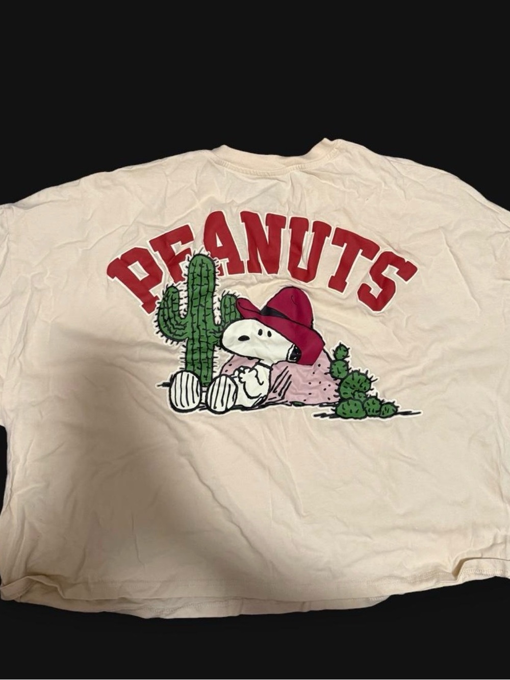 Peanuts Graphic Tee